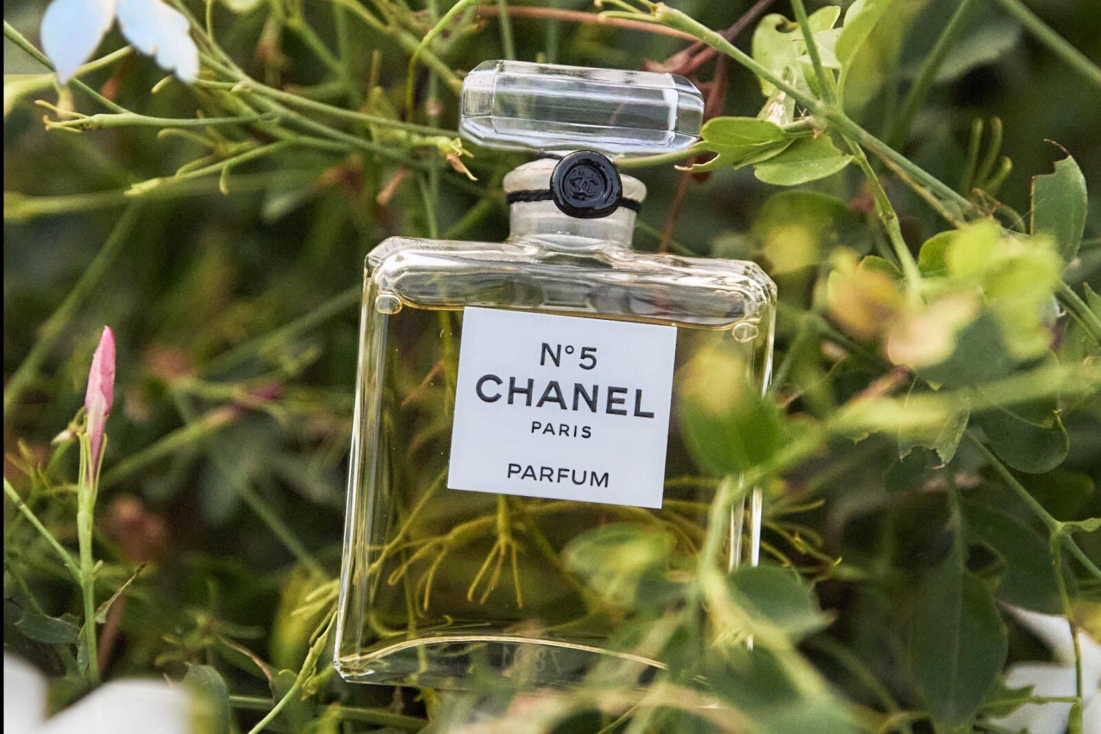 【保存版】シャネル N°5とは？“花からフレグランス”になるまで、歴史・製品の選び方Q&Aも