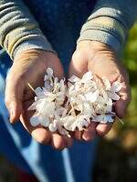 【保存版】シャネル N°5とは？“花からフレグランス”になるまで、歴史・製品の選び方Q&Aも｜写真6