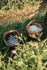 【保存版】シャネル N°5とは？“花からフレグランス”になるまで、歴史・製品の選び方Q&Aも｜写真13