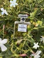 【保存版】シャネル N°5とは？“花からフレグランス”になるまで、歴史・製品の選び方Q&Aも｜写真1