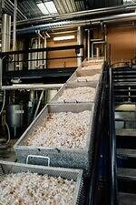 【保存版】シャネル N°5とは？“花からフレグランス”になるまで、歴史・製品の選び方Q&Aも｜写真11