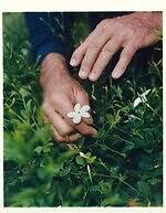 【保存版】シャネル N°5とは？“花からフレグランス”になるまで、歴史・製品の選び方Q&Aも｜写真2