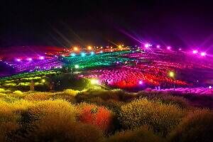 「コキアライトアップ」国営ひたち海浜公園でコキア約4万本に光の演出、マンウィズとコラボも