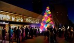 マカロンカラーの光煌めく９本のイルミネーションツリーが新宿サザンテラスに登場｜写真2