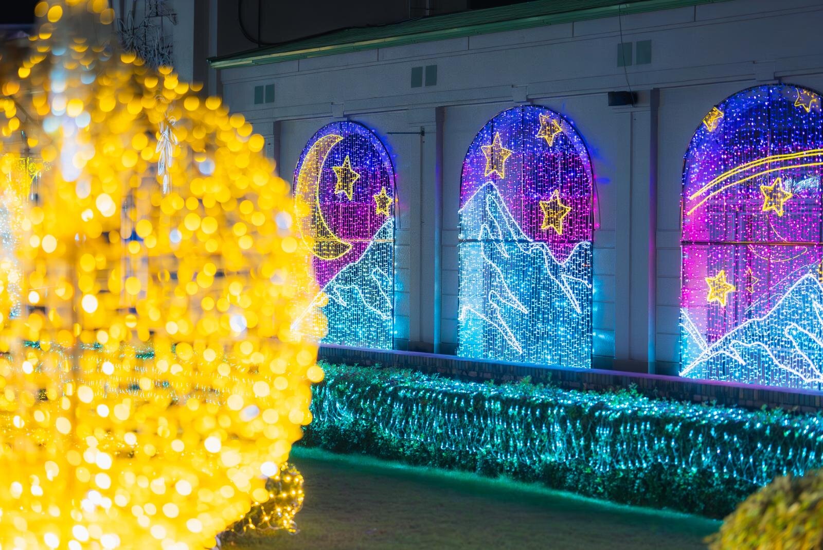 光の祭典「神戸イルミナージュ」ピンクに輝く宮殿イルミネーション＆ハート型トンネル｜写真12