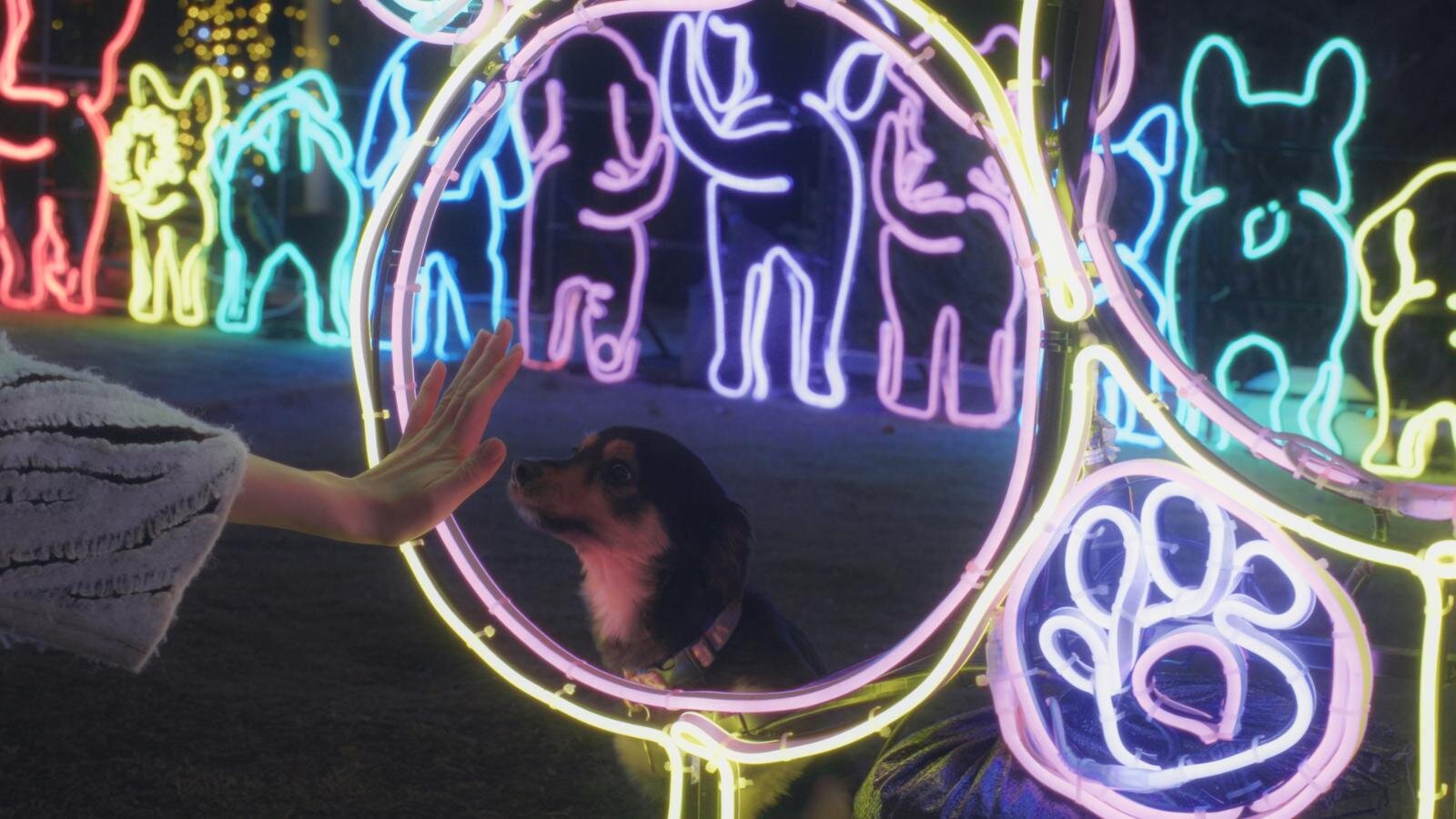 光の祭典「神戸イルミナージュ」ピンクに輝く宮殿イルミネーション＆ハート型トンネル｜写真13