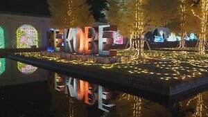 光の祭典「神戸イルミナージュ」ピンクに輝く宮殿イルミネーション＆ハート型トンネル｜写真23