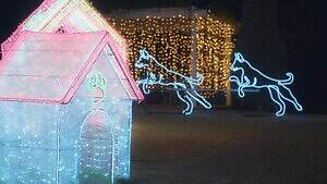 光の祭典「神戸イルミナージュ」ピンクに輝く宮殿イルミネーション＆ハート型トンネル｜写真14