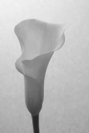 ケイタ マルヤマ(KEITA MARUYAMA) 2025-26年秋冬ウィメンズコレクション  - 写真33