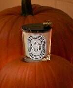 ディプティック(Diptyque) パンプキンの香り｜写真1