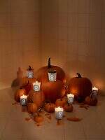 ディプティック(Diptyque) パンプキンの香り｜写真3