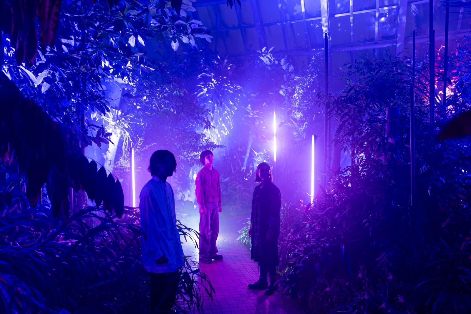 京都府立植物園“デジタルアート×温室”「ライトサイクル京都」幻想的な光と音の没入空間に｜写真6