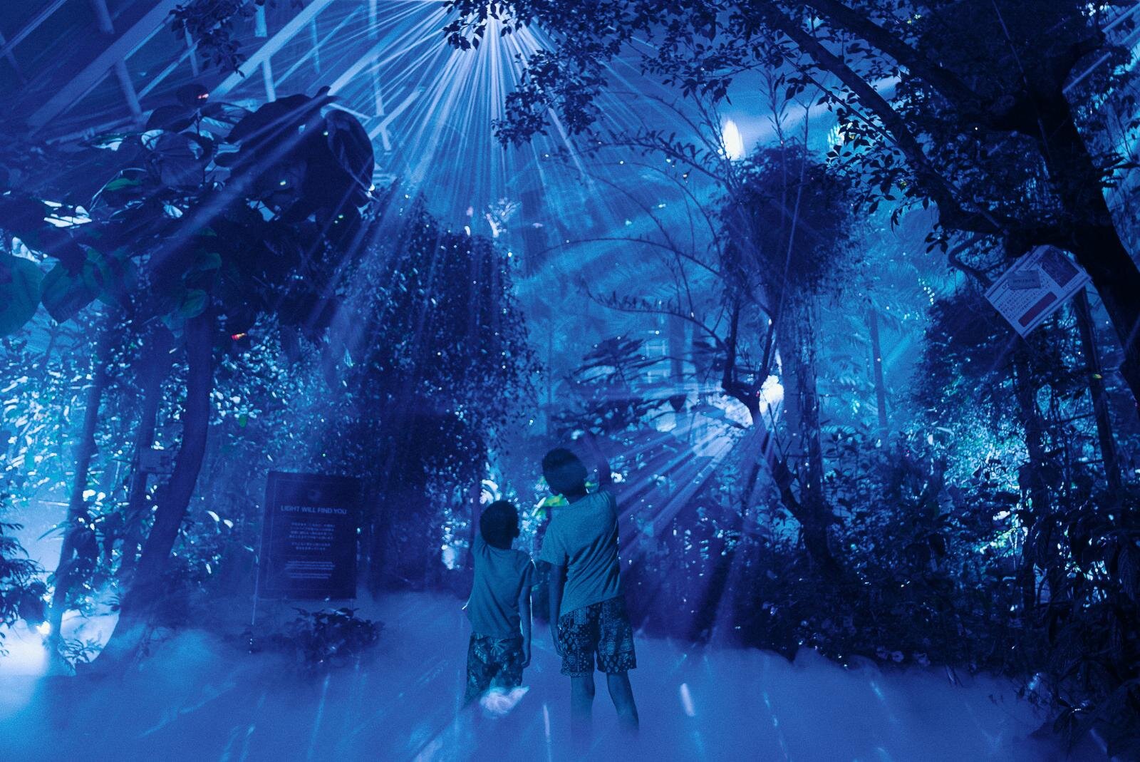 京都府立植物園“デジタルアート×温室”「ライトサイクル京都」幻想的な光と音の没入空間に｜写真14
