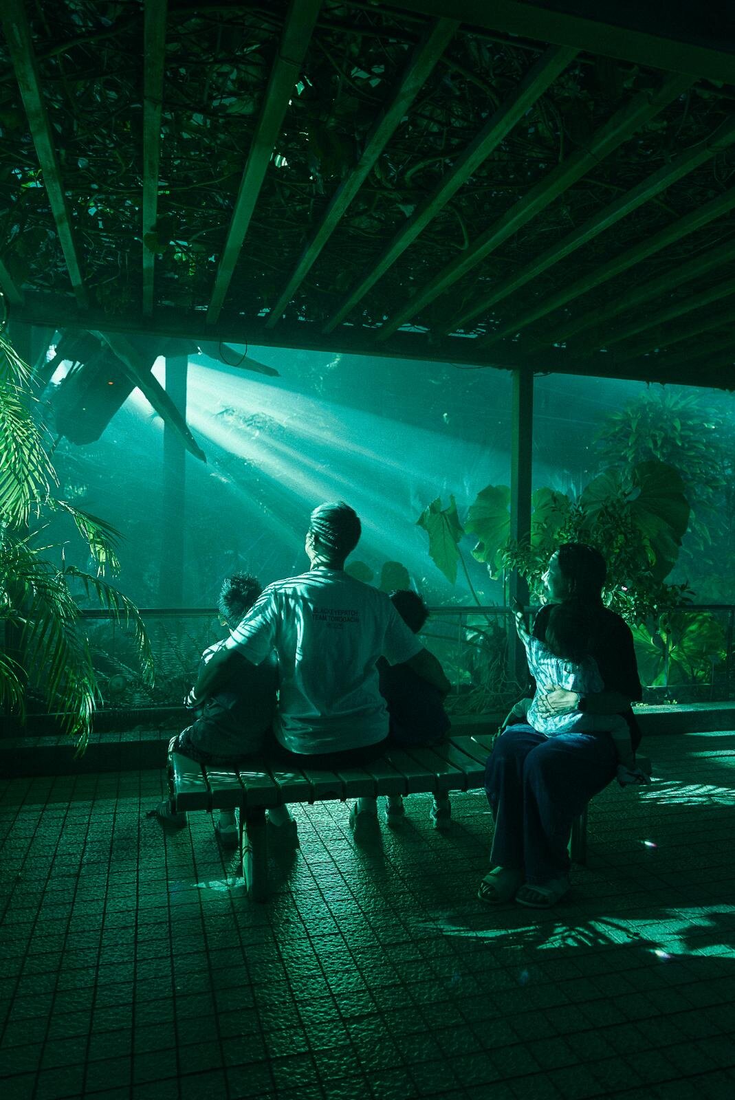 京都府立植物園“デジタルアート×温室”「ライトサイクル京都」幻想的な光と音の没入空間に｜写真10