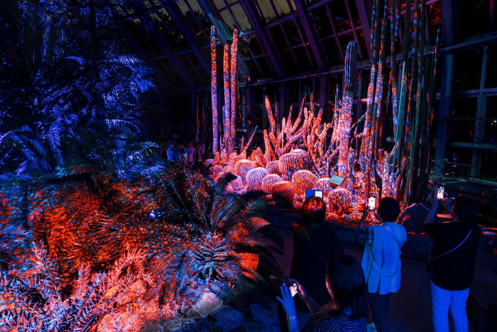 京都府立植物園“デジタルアート×温室”「ライトサイクル京都」幻想的な光と音の没入空間に｜写真3