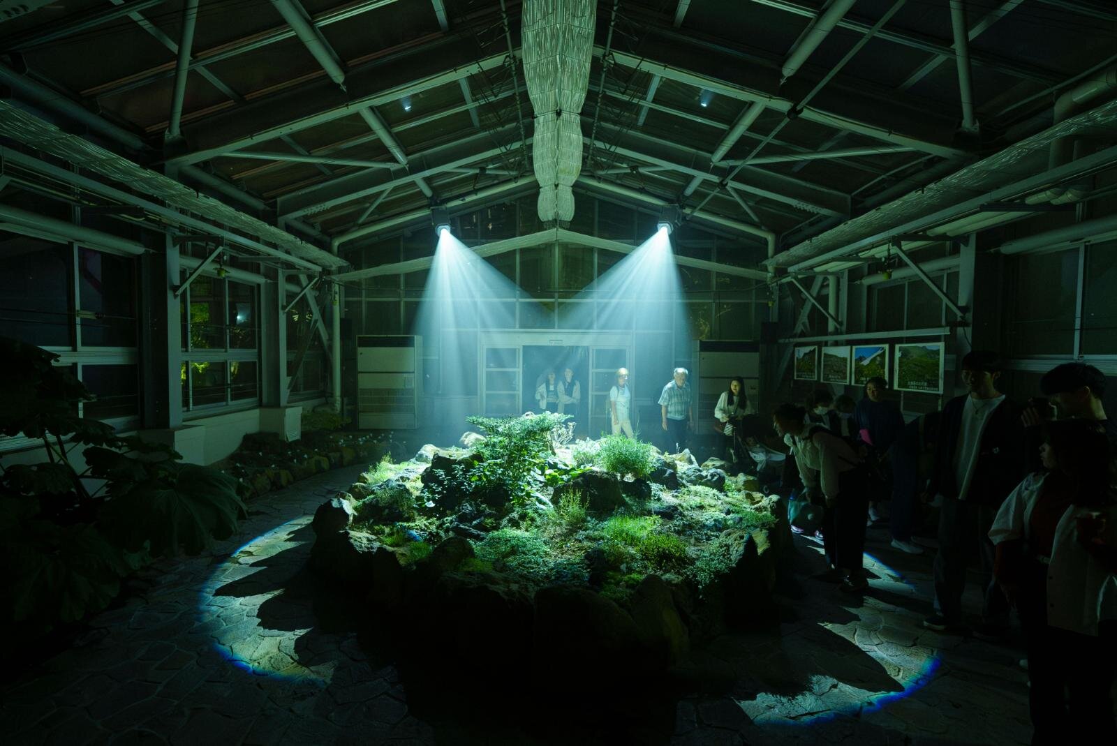 京都府立植物園“デジタルアート×温室”「ライトサイクル京都」幻想的な光と音の没入空間に｜写真5