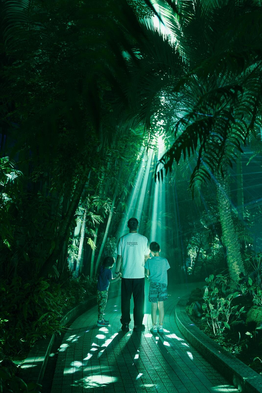 京都府立植物園“デジタルアート×温室”「ライトサイクル京都」幻想的な光と音の没入空間に｜写真15