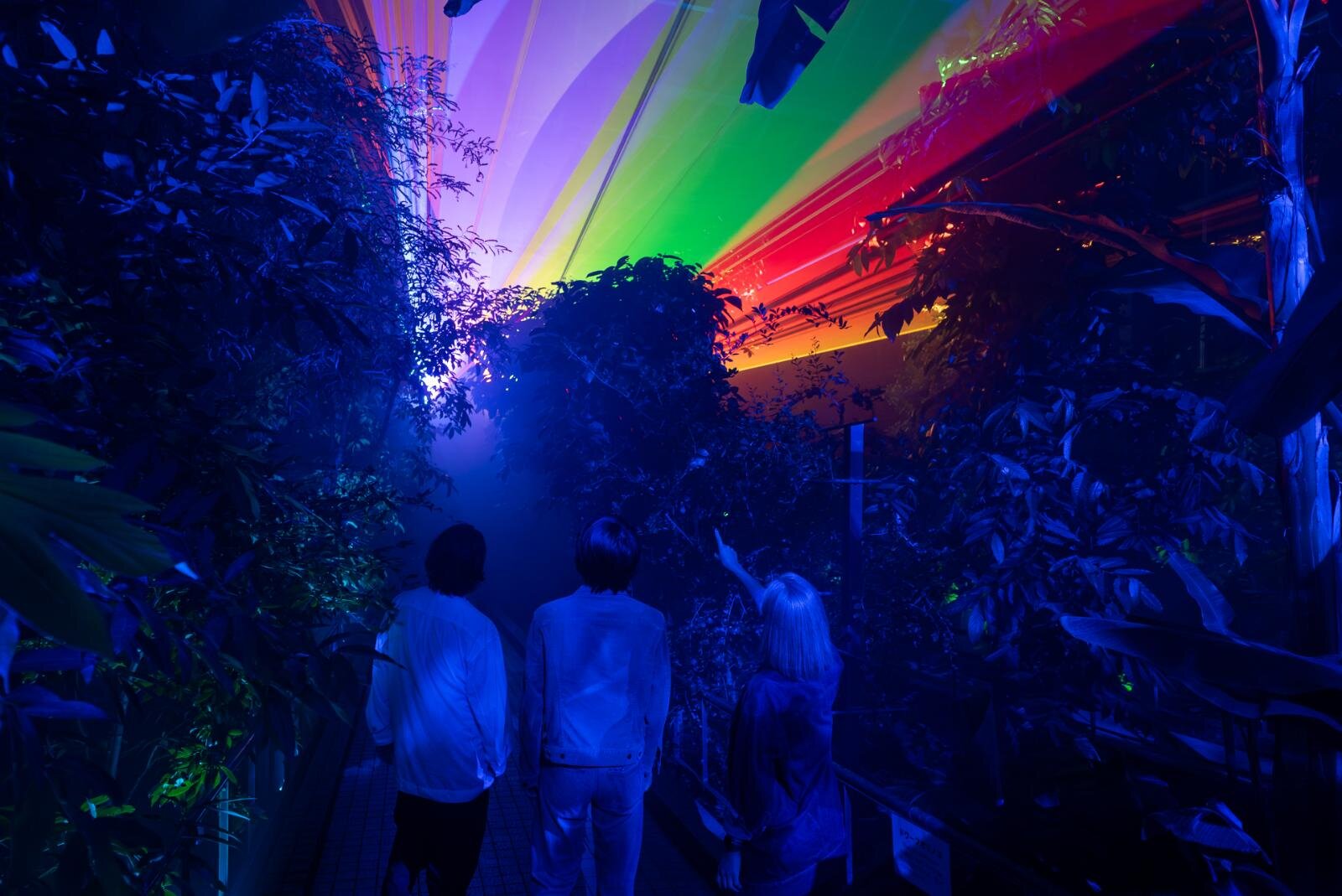 京都府立植物園“デジタルアート×温室”「ライトサイクル京都」幻想的な光と音の没入空間に｜写真8