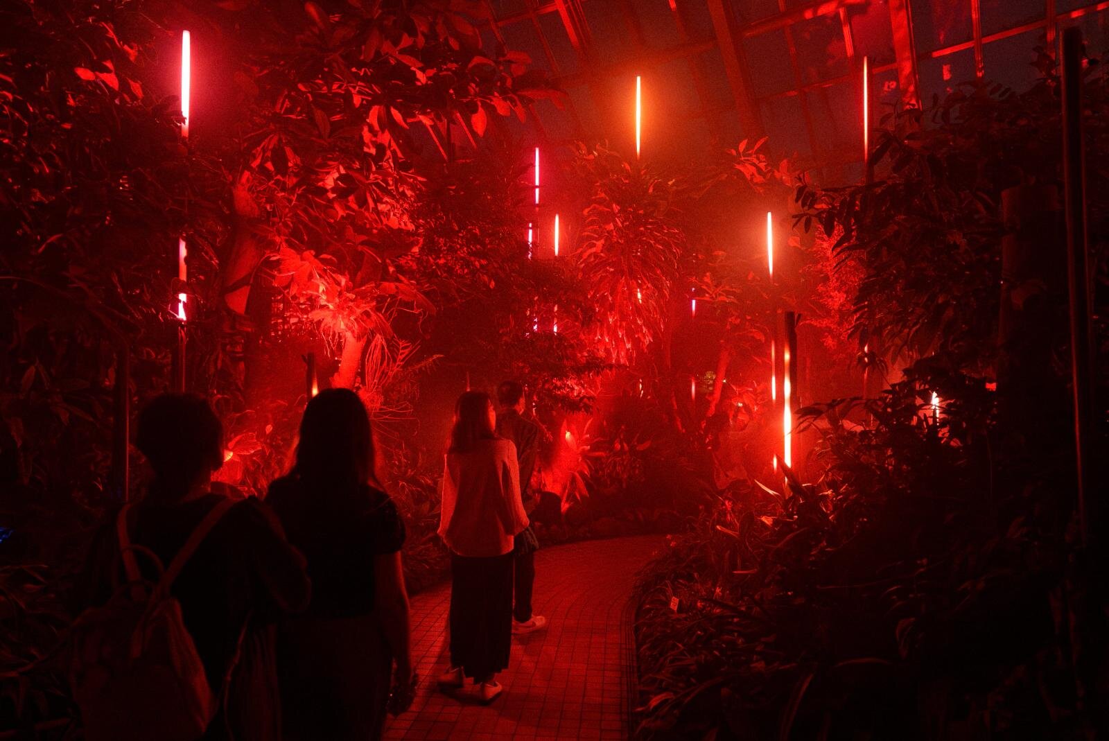 京都府立植物園“デジタルアート×温室”「ライトサイクル京都」幻想的な光と音の没入空間に｜写真1