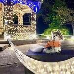 静岡・伊豆最大級のイルミネーション、洋館に映る大迫力プロジェクションマッピング＆虹色に輝く滝｜写真6