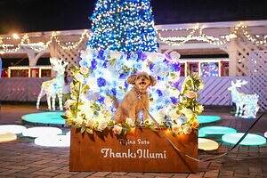 静岡・伊豆最大級のイルミネーション、洋館に映る大迫力プロジェクションマッピング＆虹色に輝く滝｜写真2