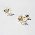 ハリオ×イイダ傘店のガラスアクセサリー、ぷっくりリンゴピアスや“朝焼けのカモミール”イヤリング｜写真9