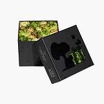 ニコライ バーグマン フラワーズ ＆ デザイン(Nicolai Bergmann Flowers & Design) ピーナッツ｜写真6