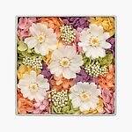 ニコライ バーグマン フラワーズ ＆ デザイン(Nicolai Bergmann Flowers & Design) ピーナッツ｜写真3