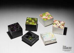 ニコライ バーグマン フラワーズ ＆ デザイン(Nicolai Bergmann Flowers & Design) ピーナッツ｜写真17