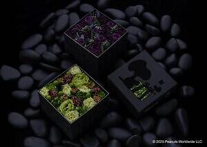 ニコライ バーグマン フラワーズ ＆ デザイン(Nicolai Bergmann Flowers & Design) ピーナッツ｜写真18