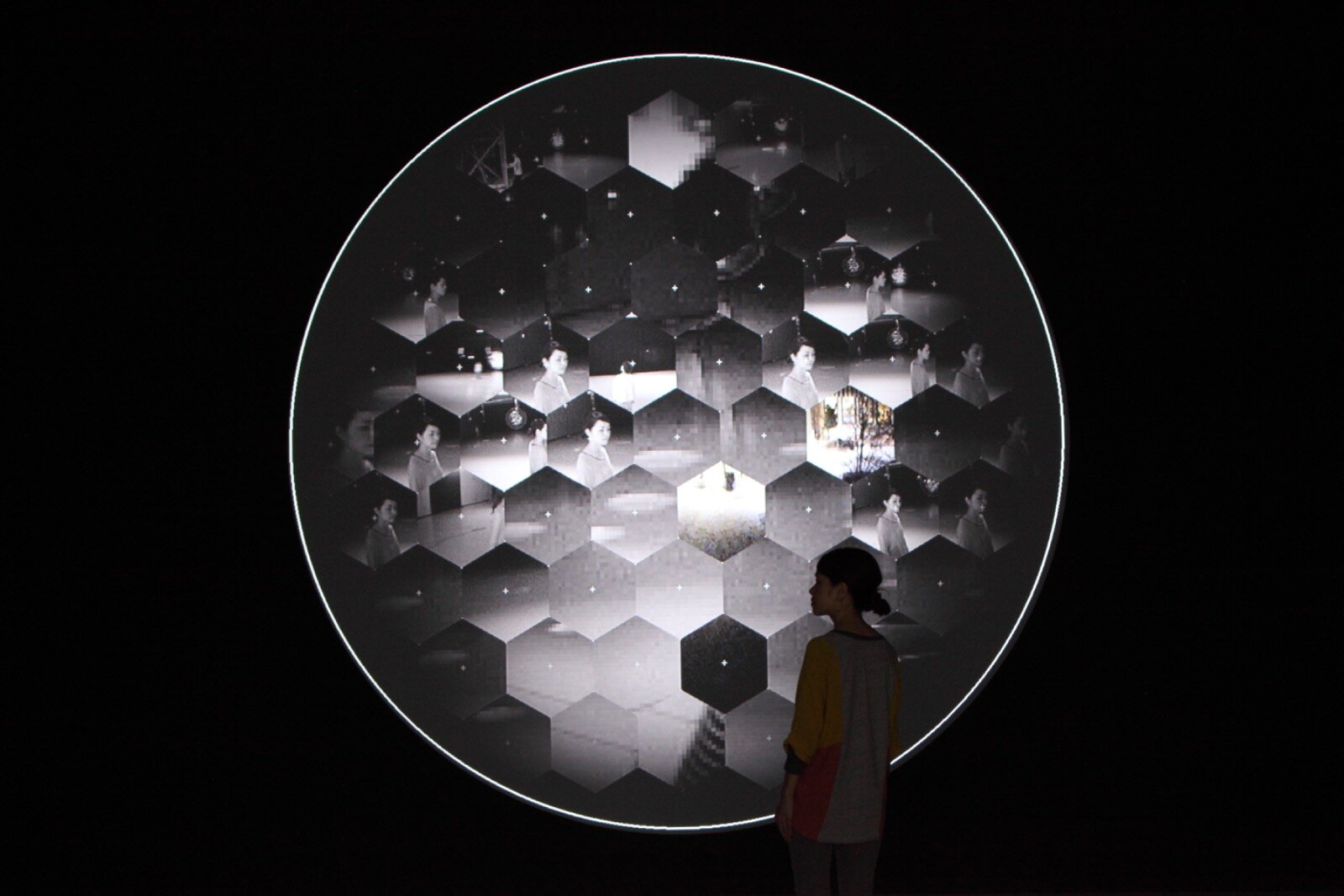 三上晴子 《欲望のコード》 2010/2011年 撮影：木奥恵三