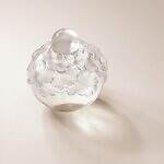 ミキモト×ラリック“幸せ呼ぶ”四つ葉のクローバーが彩るフレグランス、朝露残る庭園のフレッシュな香水｜写真2