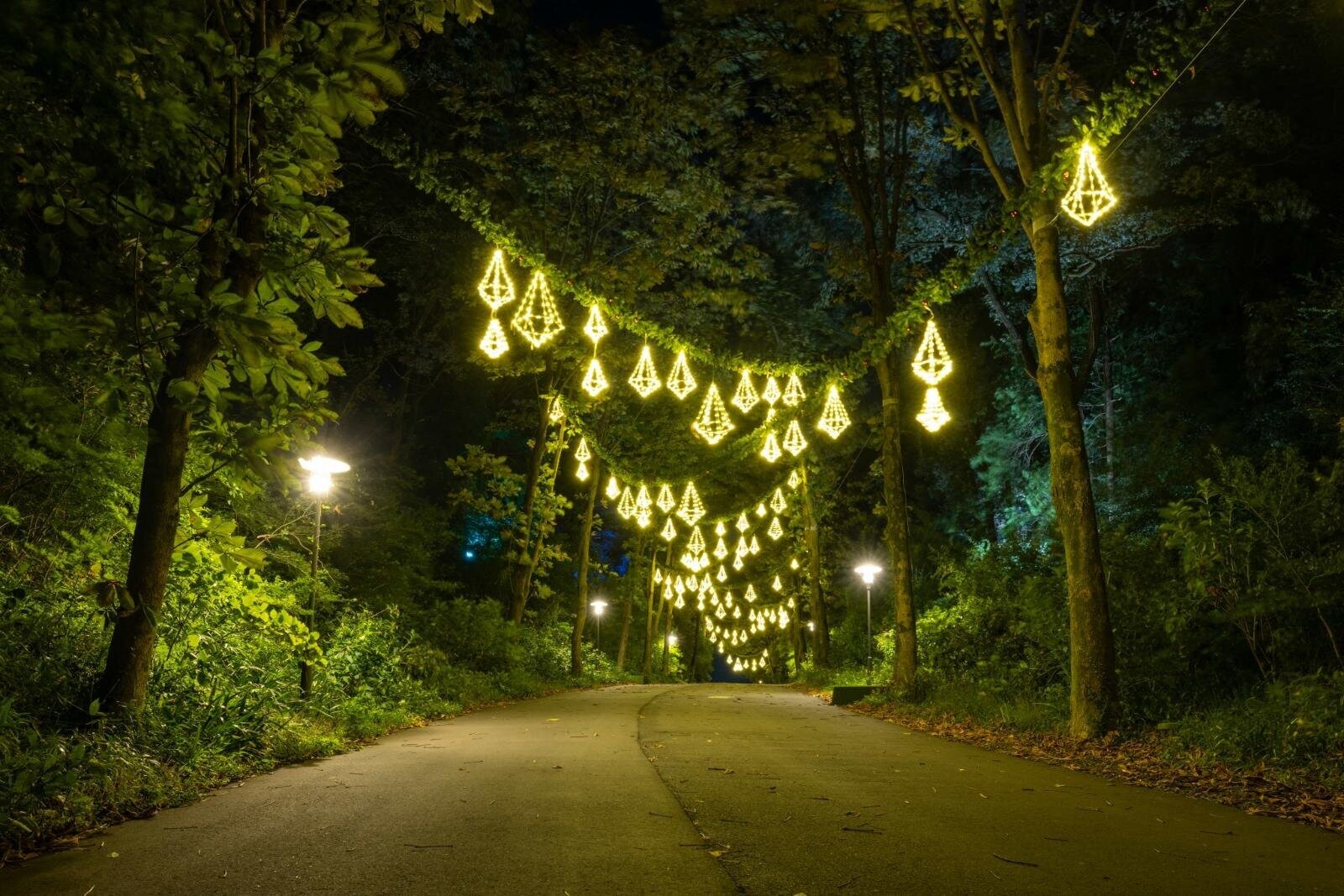 「関東のイルミネーション2025-26冬」東京都内・神奈川のおすすめイベント＆デートスポット｜写真2