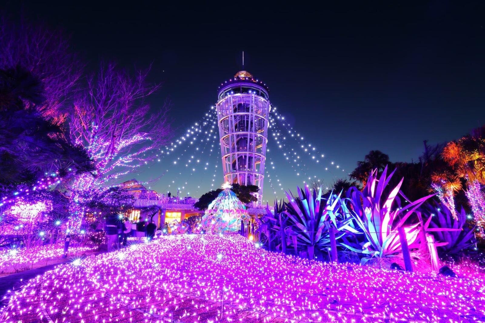 「関東のイルミネーション2025-26冬」東京都内・神奈川のおすすめイベント＆デートスポット｜写真14