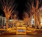 「関東のイルミネーション2025-26冬」東京都内・神奈川のおすすめイベント＆デートスポット｜写真13