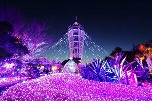 「イルミネーション特集2025-26冬」東京ほか関東＆関西でおすすめのおでかけ＆デートスポット｜写真7