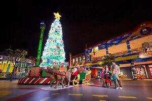 「イルミネーション特集2025-26冬」東京ほか関東＆関西でおすすめのおでかけ＆デートスポット｜写真3