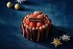 グランド ハイアット 東京25年クリスマスケーキ、サンタモチーフのムースや“惑星型チョコ”ケーキ｜写真10