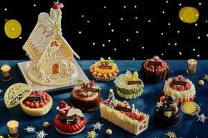 グランド ハイアット 東京25年クリスマスケーキ、サンタモチーフのムースや“惑星型チョコ”ケーキ
