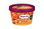 ハーゲンダッツ(Häagen-Dazs) クランチアーモンドキャラメル｜写真1