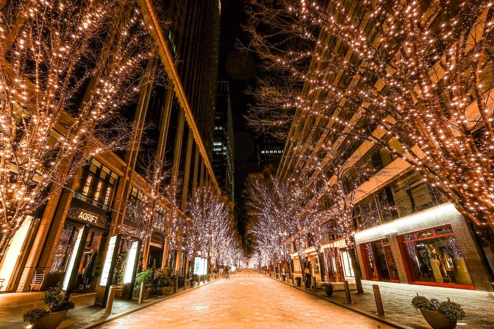 「丸の内イルミネーション 2025」シャンパンゴールド色の光が照らす東京駅前・丸の内仲通り｜写真4