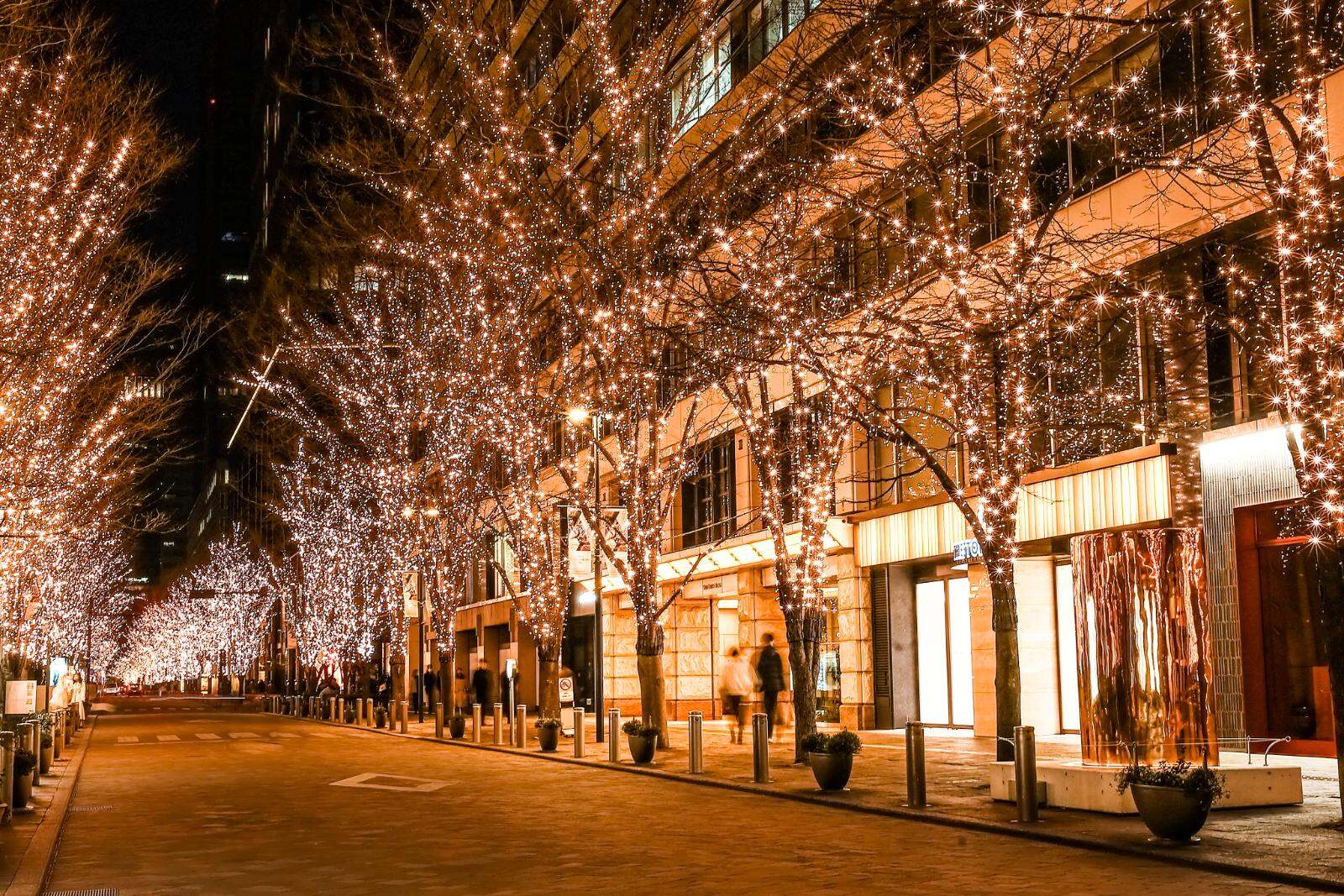 「丸の内イルミネーション 2025」シャンパンゴールド色の光が照らす東京駅前・丸の内仲通り｜写真3