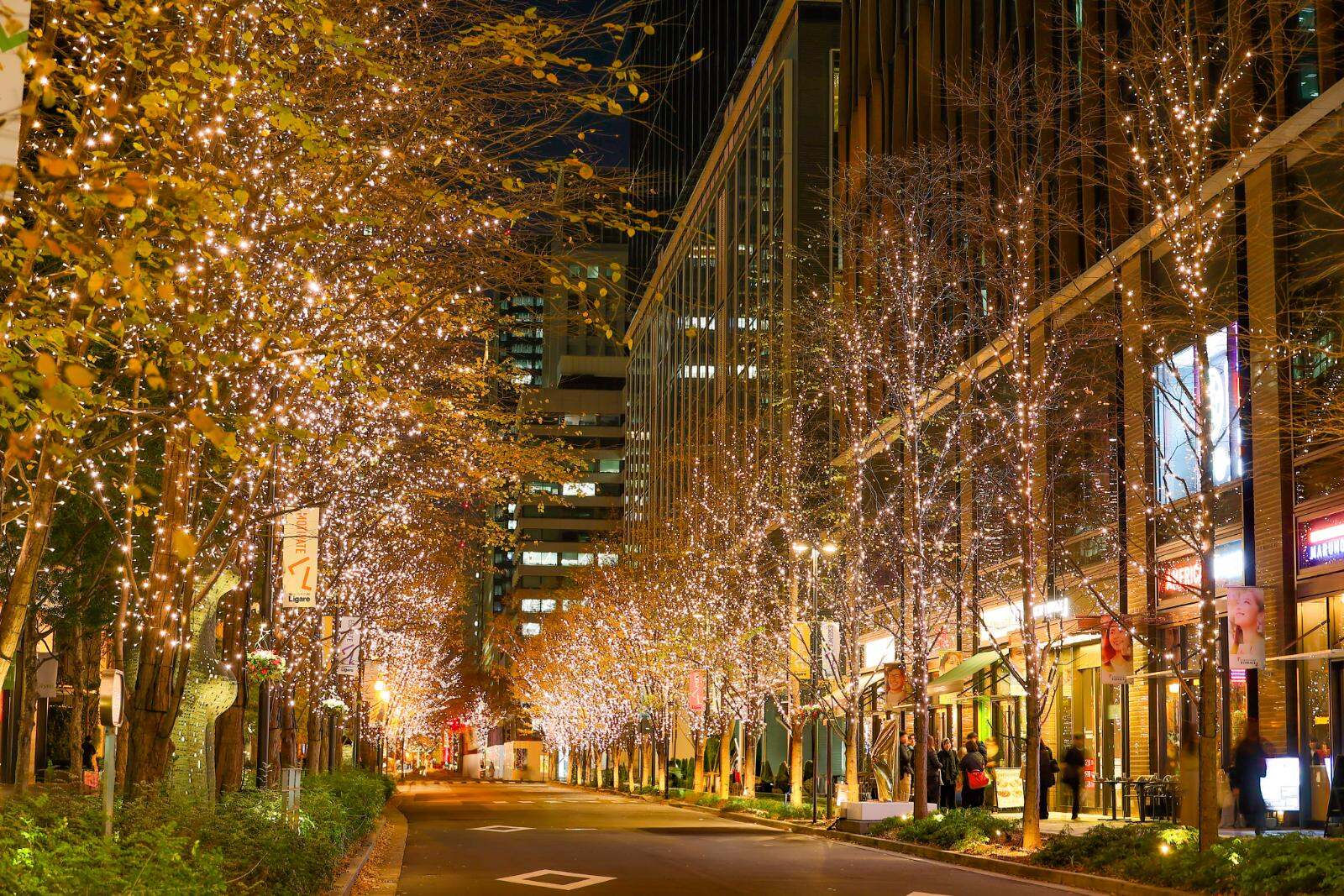 「丸の内イルミネーション 2025」シャンパンゴールド色の光が照らす東京駅前・丸の内仲通り｜写真5