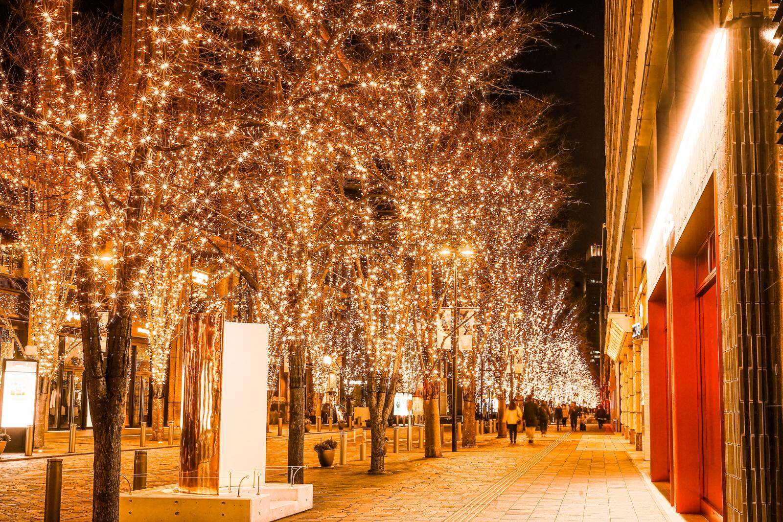「丸の内イルミネーション 2025」シャンパンゴールド色の光が照らす東京駅前・丸の内仲通り｜写真6