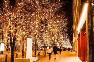 「丸の内イルミネーション 2025」シャンパンゴールド色の光が照らす東京駅前・丸の内仲通り｜写真2