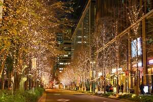 「丸の内イルミネーション 2025」シャンパンゴールド色の光が照らす東京駅前・丸の内仲通り｜写真5