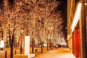 「丸の内イルミネーション 2025」シャンパンゴールド色の光が照らす東京駅前・丸の内仲通り｜写真6
