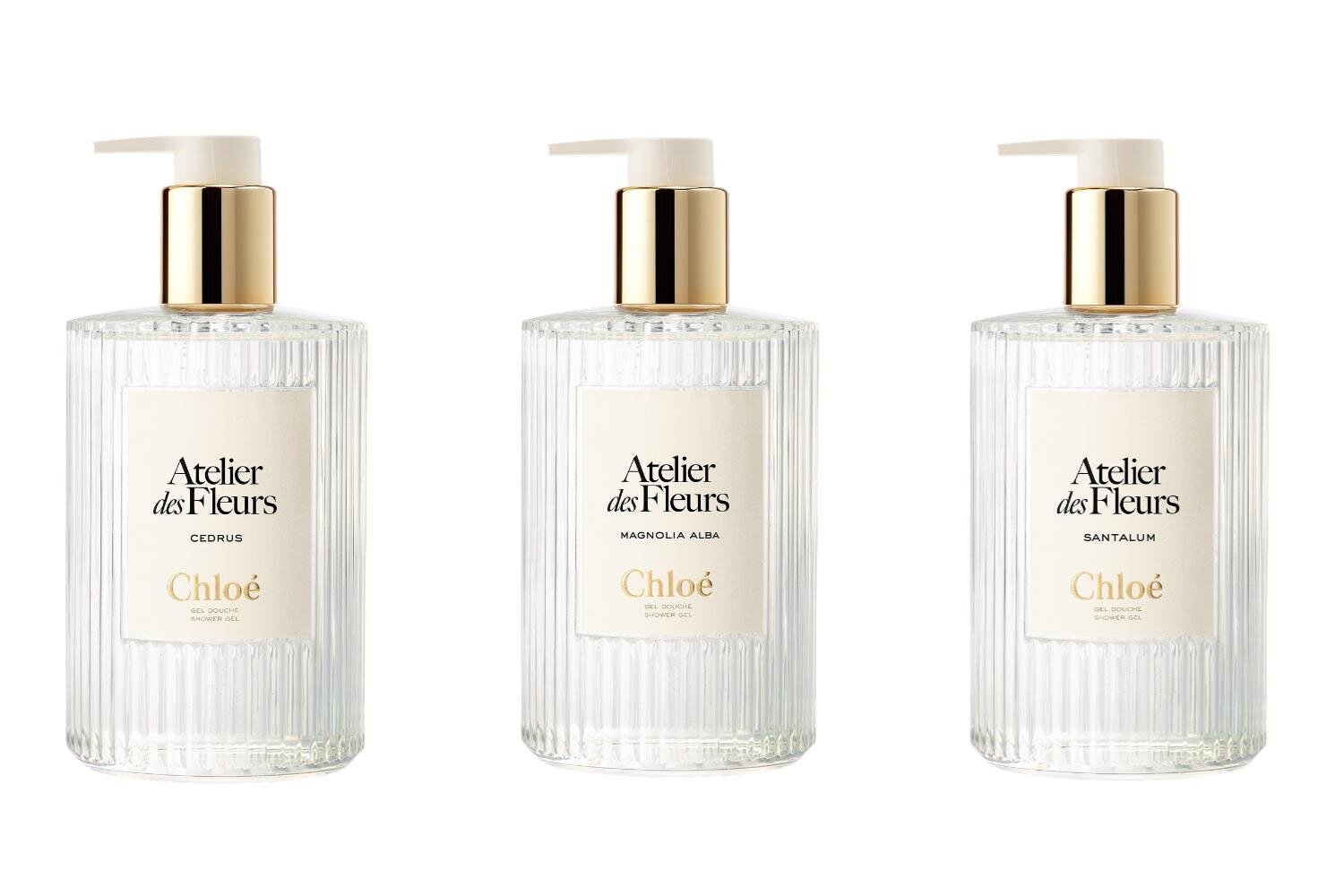 クロエ(Chloé) アトリエ デ フルール｜写真15