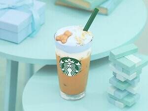 スターバックス×ジェラート ピケ「ピケ モコ ブーケ & ティー