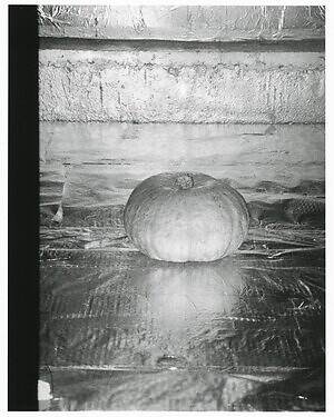 ブラックバード(BLACKBIRD) 2025-26年秋冬ウィメンズ&メンズコレクション  - 写真9